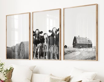 May include: Three black and white cows stand in a field with hay bales in the background. A wooden framed photo of the cows is next to a wooden framed photo of a barn in a field.