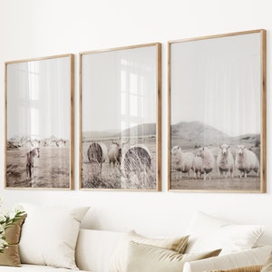 Farm Set Of 3 Photo Country Poster Set Neutral Farm Decor Rustic Wall Poster Farm Animal Photo Sheep Print Farm Landscape Farm Horse Poster