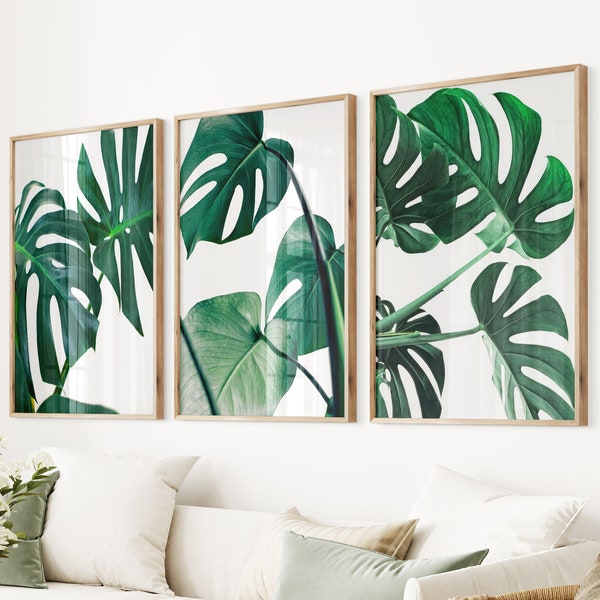 Monstera Set of 3 Tropical Leaves Botanical Photo Green Leaf Wall Art Living Room Gallery Tropical Decor Large Monstera Print Leaves Poster