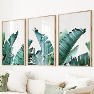 Banana Leaf Print Set of 3 Tropical Photo Botanical Triptych Large Tropical Leaf Banana Leaves Poster Greenery Tropical Plant Wall Art Decor