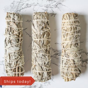 White Sage Sticks, 3 5-inch California White Sage Smudge Sticks, Bulk Sage, Spiritual Gift, Dry Sage