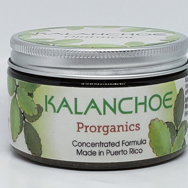 Kalanchoe Ointment pain relief by Prorganics 4oz