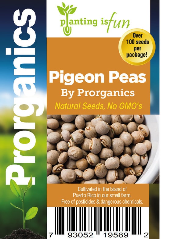 100 Organic Pigeon Peas Seeds by Etsy