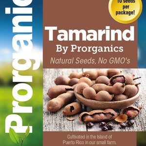 10 Organic Tamarind seeds by Prorganics