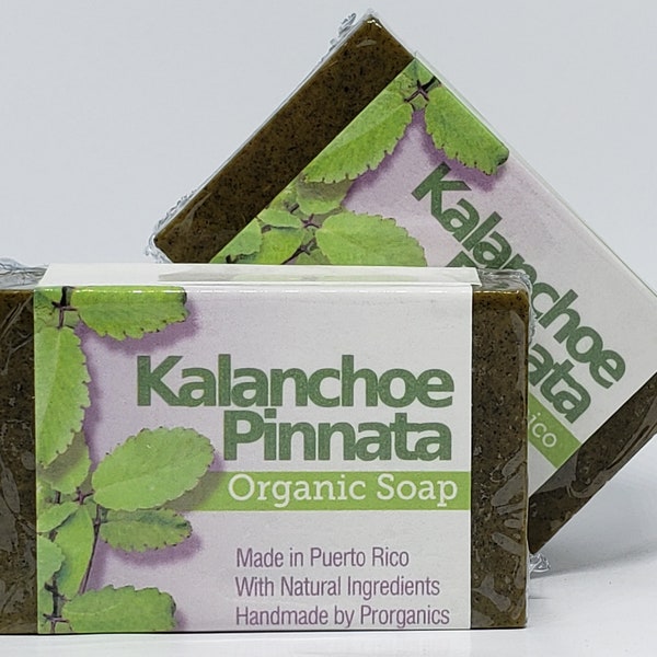 Kalanchoe Pinnata 5oz Organic soap by Prorganics (Rare)