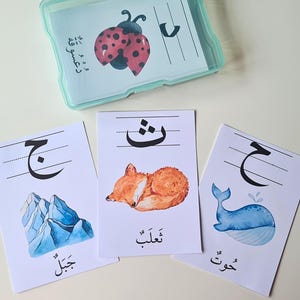 Printable Arabic Alphabet Flash Cards: Homeschool Learning (Digital Download)