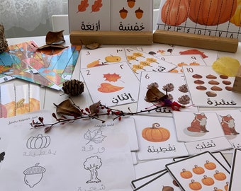 Arabic flashcards Vocabulary, Number,Color,Worksheets, puzzle, Nature Study Bundle for Autumn Unit, Muslim Homeschool, Bilingual Montessori