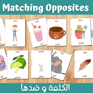 Oppositions de mots arabes, activité d'association, 20 cartes d'association, jeu de mémoire, préscolaire, maternelle, première année, école à la maison