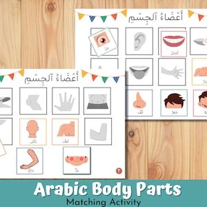 Arabic Body Parts Matching Activity for Toddlers with transliteration, Human Body, Toddler Busy Book Page, Learning Binder, 3 Pdf options.