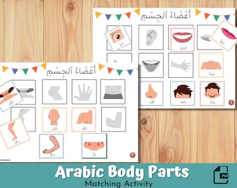 Arabic Body Parts Matching Activity: Toddler Learning Binder (3 PDF Options)