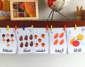 Arabic Autumn Nature Study Bundle: Montessori Flashcards, Puzzles (Digital Download)