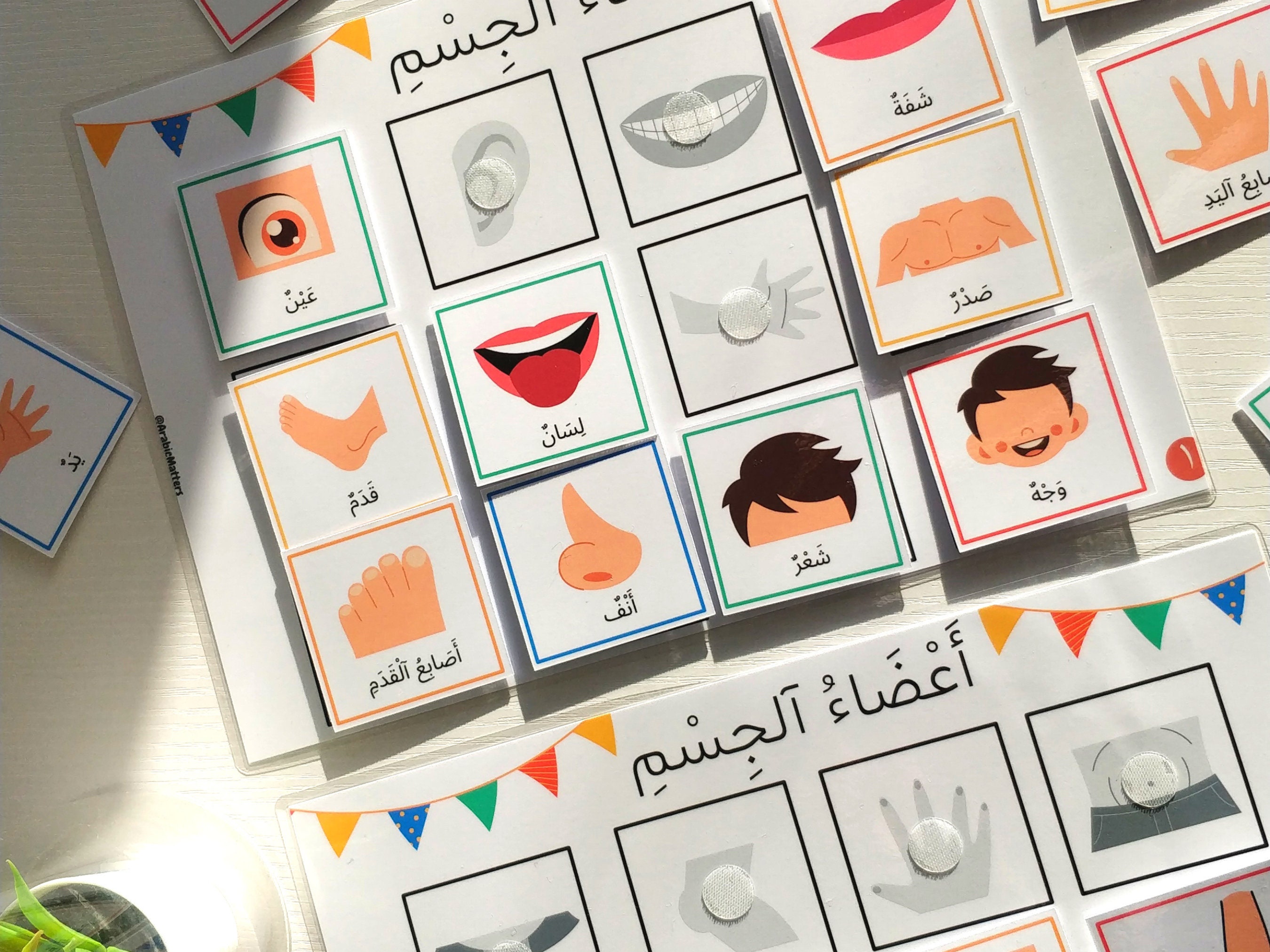 Arabic Body Parts Matching Activity for Toddlers With Etsy UK