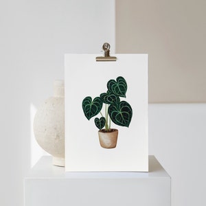 Postkarte Pflanze | DIN A6 Plantmom | Aquarell Herzblattblume