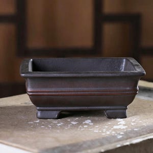 Puede incluir: Una maceta rectangular marrón oscuro para bonsái con un borde ligeramente ensanchado y una base elevada. La maceta tiene un diseño simple y elegante con una sutil línea de acento marrón rojizo. La maceta mide aproximadamente 20 cm de largo, 15 cm de ancho y 8 cm de alto.