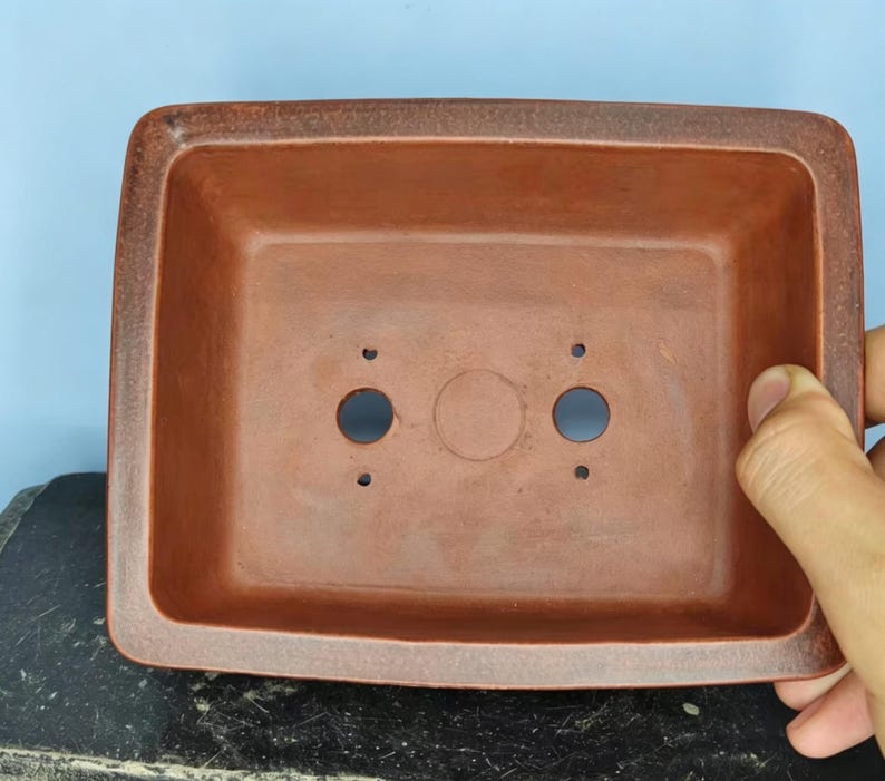 May include: A rectangular, reddish-brown bonsai pot with rounded corners. The pot has two drainage holes and a central hole. The pot is made of ceramic and is designed for growing bonsai trees. The pot is held by a hand.