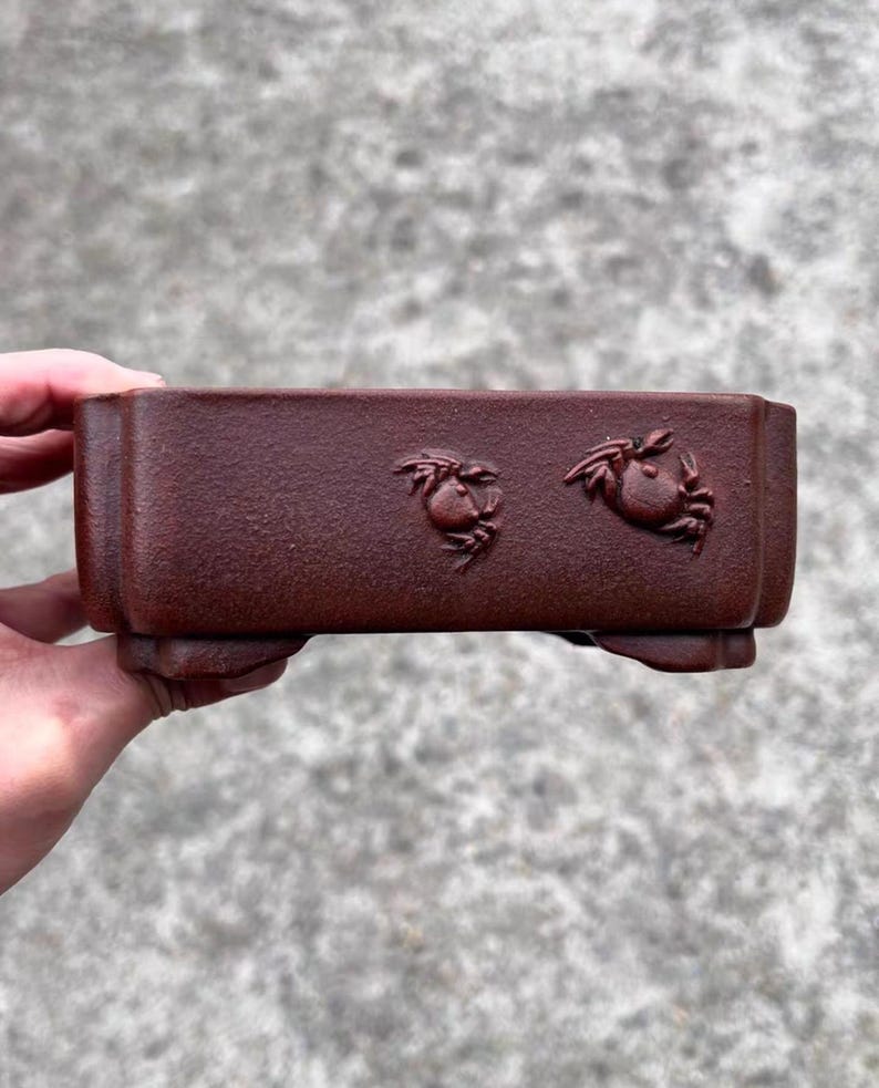 May include: A rectangular, reddish-brown ceramic bonsai pot. The pot features two crab designs on the front. The pot has a raised base and is held by a hand against a blurred background.