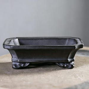 May include: A dark gray rectangular bonsai pot with a raised, decorative base. The pot has a slightly textured surface and sits on four ornate feet. The pot's shape is geometric, with a wide, open top.