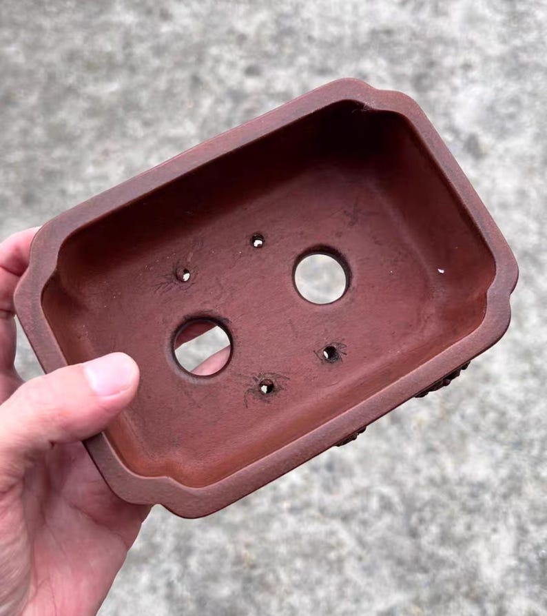 May include: A rectangular, reddish-brown bonsai pot with rounded edges and drainage holes. The pot is made of a terracotta-like material and has a slightly textured surface. The pot is held by a person's hand.