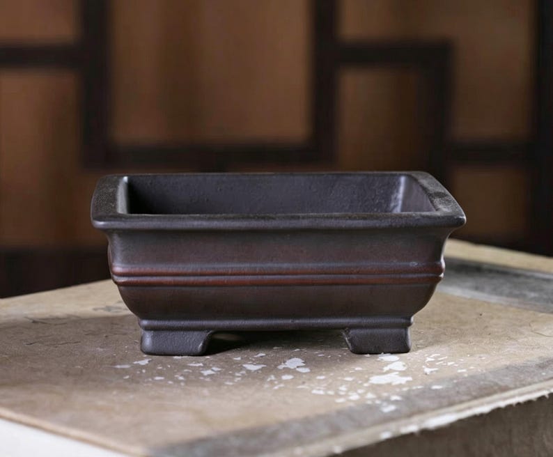 K&ouml;nnte beinhalten: Ein dunkelbrauner rechteckiger Bonsai-Topf mit leicht ausgestelltem Rand und erh&ouml;htem Sockel. Der Topf hat ein schlichtes, elegantes Design mit einer dezenten rotbraunen Akzentlinie. Der Topf ist etwa 20 cm lang, 15 cm breit und 8 cm hoch.