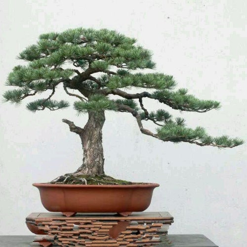 13.8 インチ長方形盆栽鉢宜興紫砂植木鉢レトロ泥絵古いスタイル植木鉢