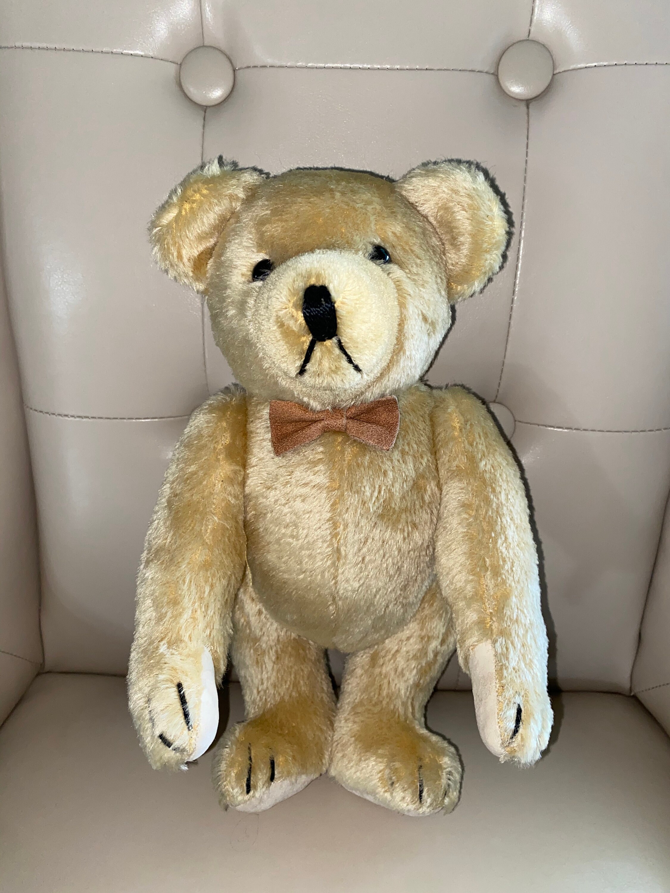 Johanna Haida Martin Growler Mohair Teddy Bear ~ Limited Edition