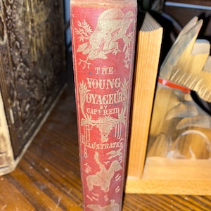 May include: A red book with gold lettering titled "The Young Voyageur by Capt. Reid Illustrated". The cover features a bear, birds, and a tree.