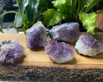 Amethyst Clusters from Brazil