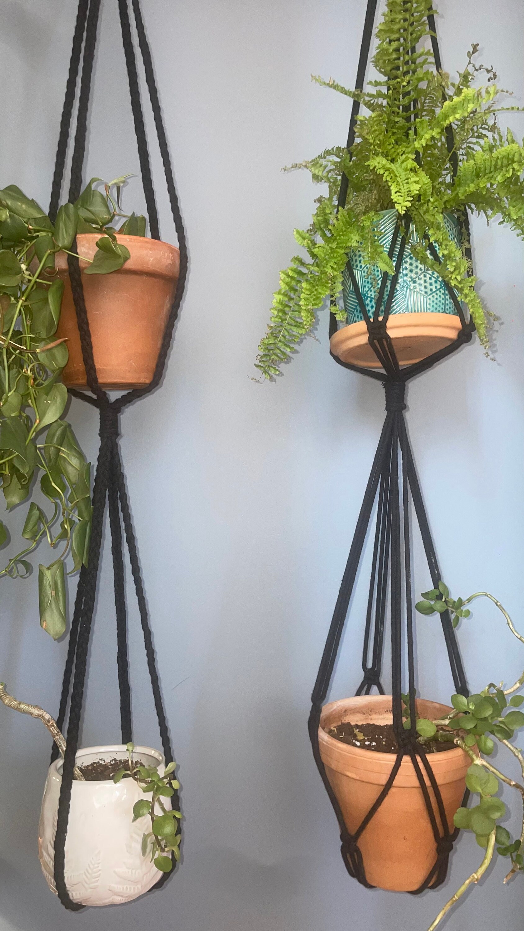 Double Plant Hanger Double Black Plant Hanger Simple Black Etsy