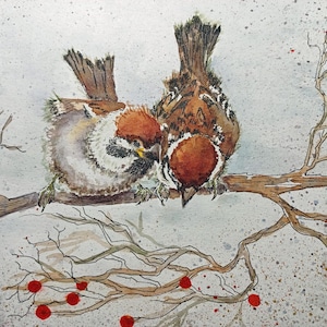 Grußkarten in Aquarell und Tinte mit originalem Kunstwerk - Spatz Beeren Jede Karte ist für einen 4 "x 6" Rahmen geeignet. Inklusive geprägter Umschläge