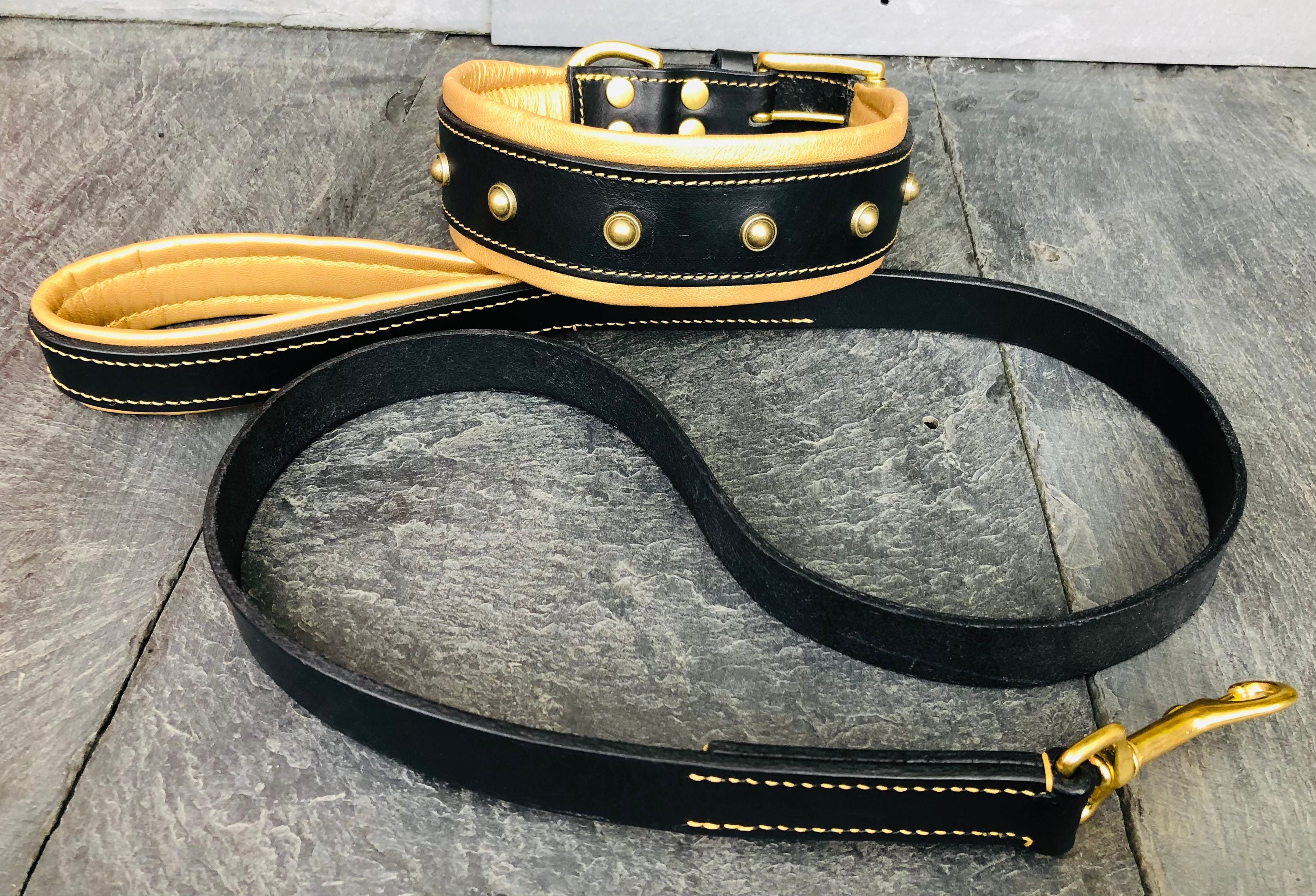 Buy Handmade Gold Chunky Leather Dog Collar Fully Lined & Padded With