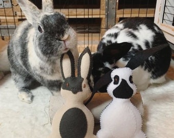 Personalized bunny