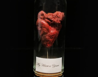 My heart is yours - Halloween Heart in a jar - Steampunk- Love token - Curiosity - Weird décor-taxidermy in a glass dome