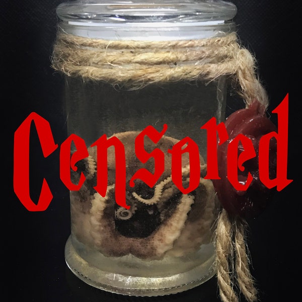 Large Octopus Wet specimen in a Vintage Jar - Curiosity Decor - Octopus taxidermy - Cruelty free