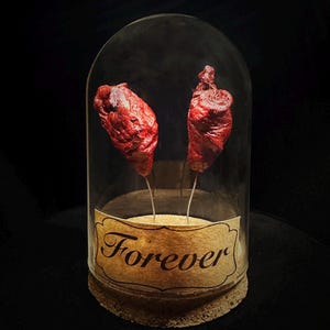 Real Heart in a jar - 2 Hearts in a vintage style dome - Steampunk- Love token - Curiosity - Weird decor-taxidermy