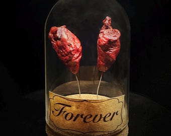 Real Heart in a jar - 2 Hearts in a vintage style dome - Steampunk- Love token - Curiosity - Weird decor-taxidermy