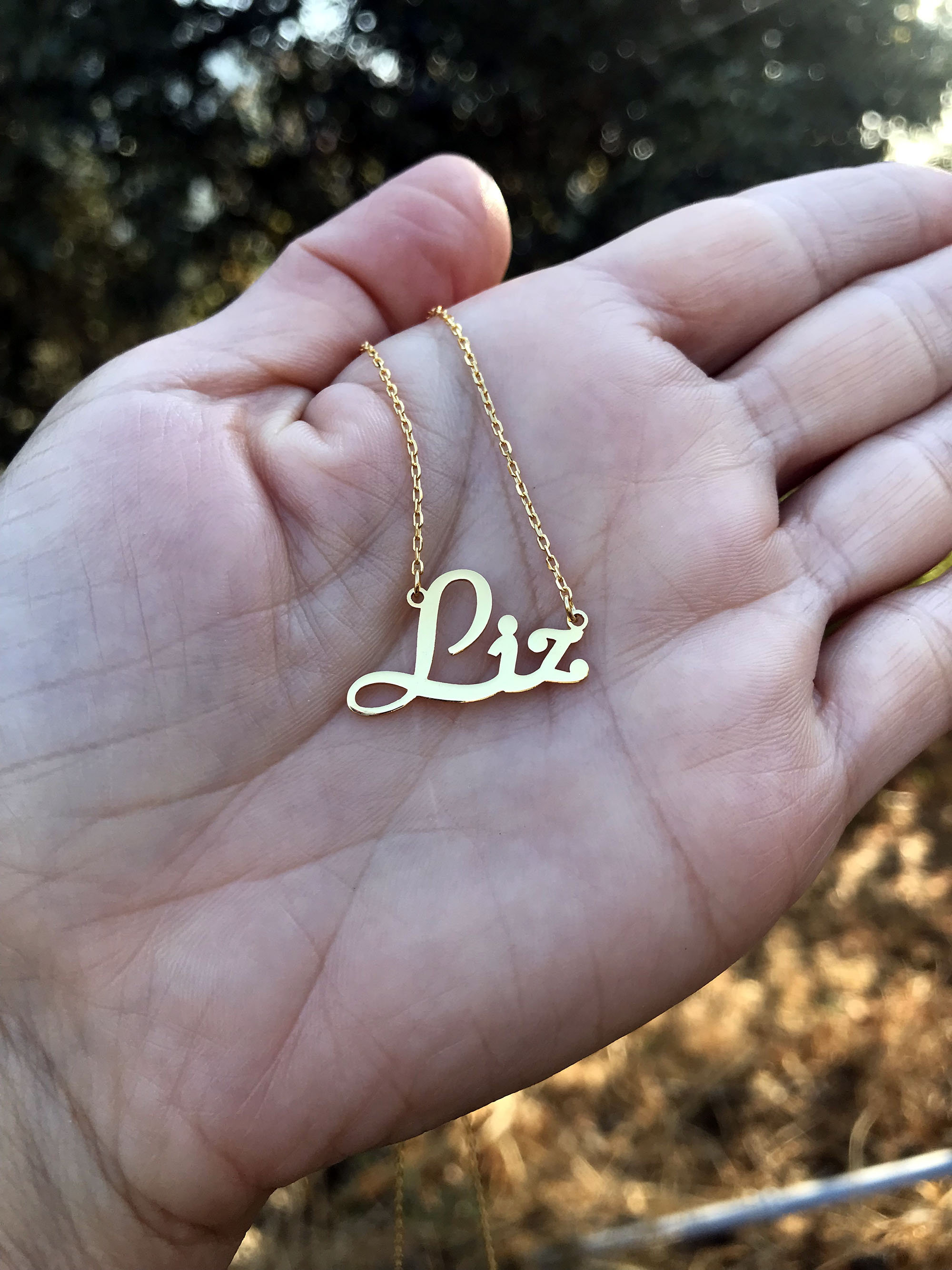 Liz Script Name Necklace for Women 