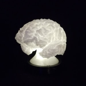 Brain Lamp