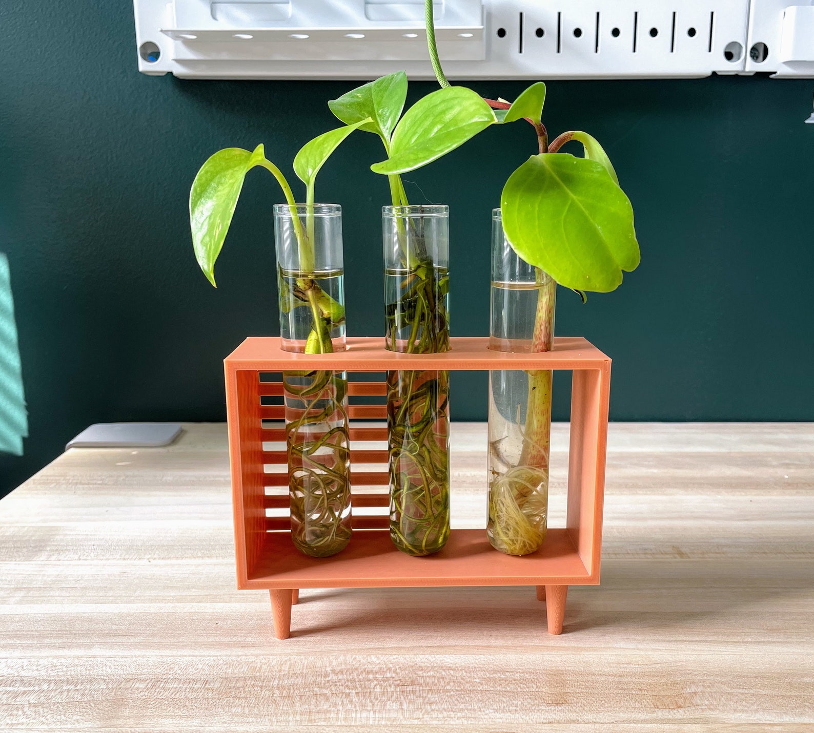MidCentury Modern Test Tube Plant Propagation Station Etsy