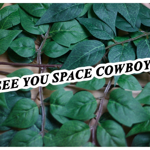 See You Space Cowboy / Cowboy Bebop / Spike Spiegal / anime