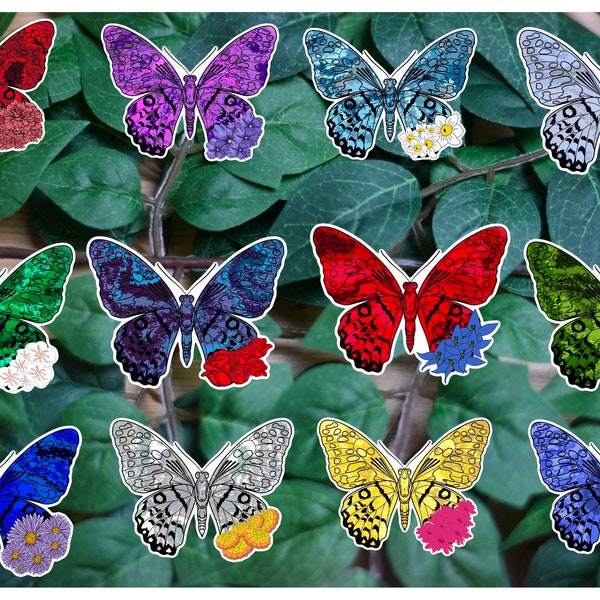 Birth Month Butterflies / Birth Stone / Birth Flower / January / February / March / April / May / June / July / August / September / October