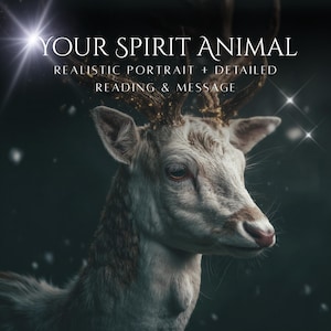 Spirit Animals psykisk läsning och anpassad konst: Ditt vägledande totemmeddelande på 24 timmar