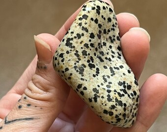 Dalmatian Stone Palmstone | Irregular Meditation Stone | Commune with Familiars/Animals |