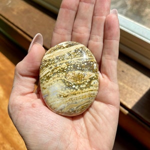 Variety Large Orbicular Ocean Jasper Palmstone | Orbicular Jasper Palm Stone | OCEAN JASPER PALMSTONE | Choose your Oj palmstone