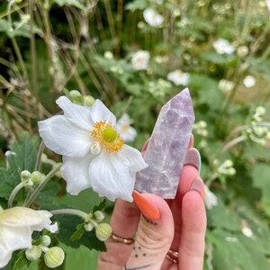 Pink Tourmaline in Lepidolite Towers | Obelisk Tourmaline and Lepidolite | Soothing Energy