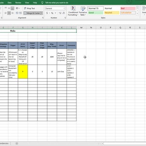 Simple Project Manager - Project Tracker RAID Log Template