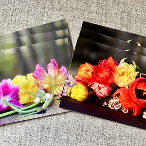 封筒付きポストカードノート、写真入りポストカードノート、白紙のポストカードノート、ポストカードノート、写真、花、チューリップ