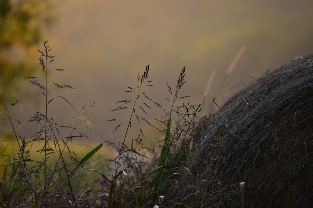 Haystack, Wall Art, Wall Hanging, Home Decor, Photography Print ...