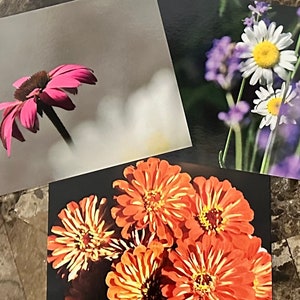 封筒付きポストカードノート、写真入りポストカードノート、白紙のポストカードノート、ポストカードノート、写真、花