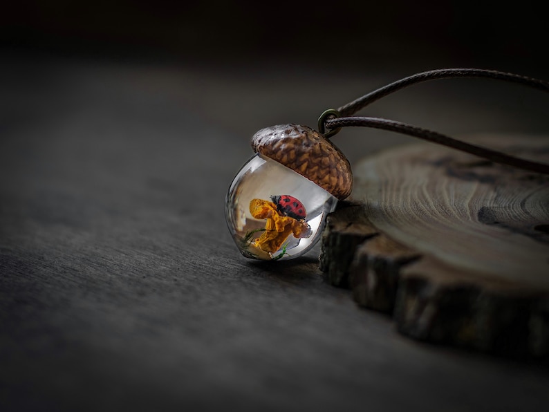 Acorn Necklace With Mushroom Frog, Resin jewelry, Acorn Pendant, wood resin pendant, Gift for Nature lover,Natural jewelry With a ladybug