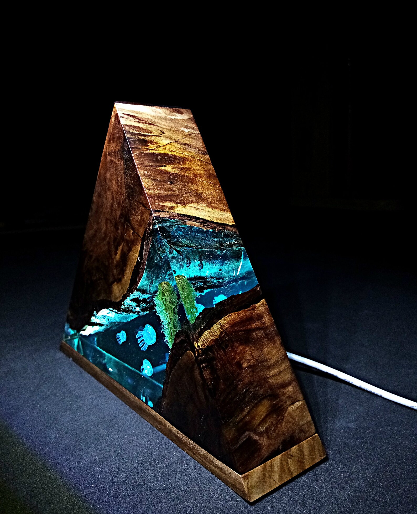 Resin Epoxy Lamp Resin Lamp Resin night light Jellyfish Etsy